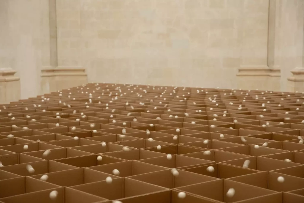 2025-expo-zimoun-cc-065