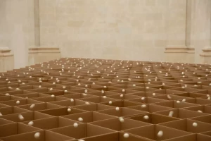 2025-expo-zimoun-cc-065