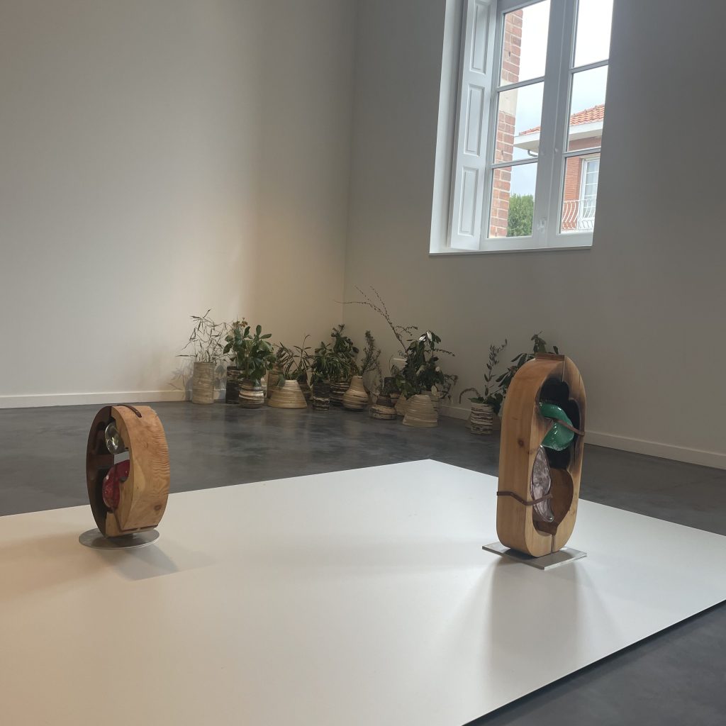 "Del Otro Mundo", exposition d’art contemporain de Leonor Serrano Rivas au Centre d’art Le Lait (Albi), 2025