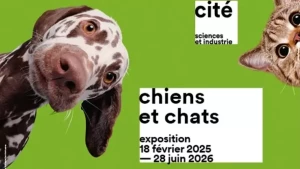 11aabc14-fa3d-43da-8de3-71d0571871bf - copie