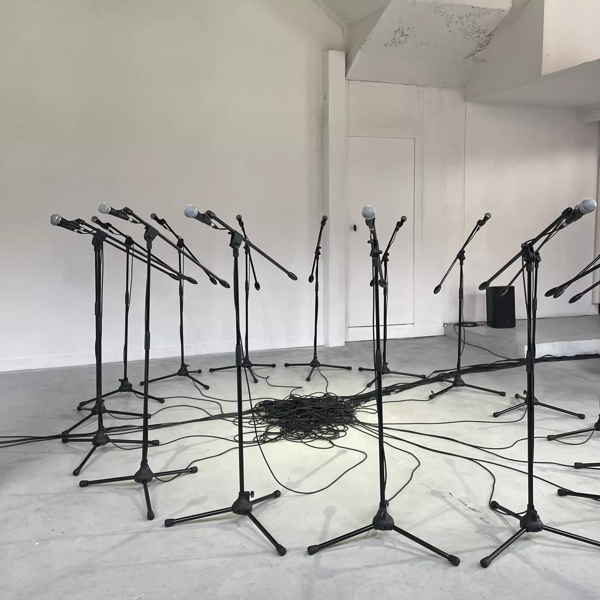 🦷 KOL - ZOO - Nantes - 81