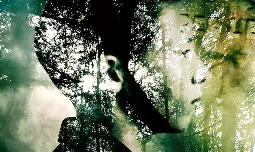 Galerie le chateau d'eau - Sophie Zénon - L’humus du monde