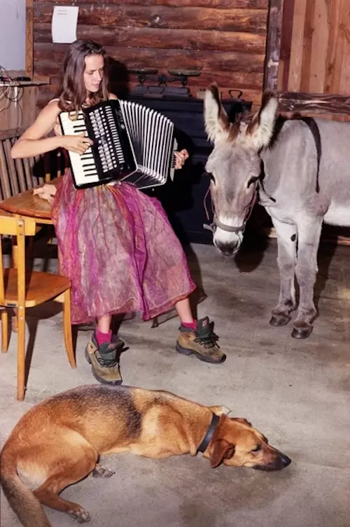 Histoires d'Ariège et de Midi-Pyrénées