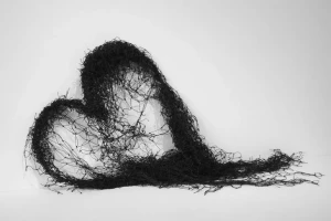 th-930x615-annette-messager_coeur-au-repos_2009_930.jpg