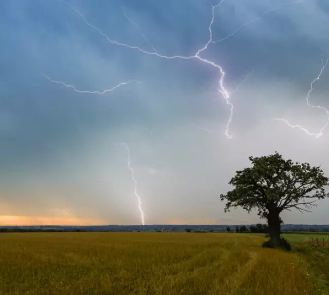 22-RencArt--Eddy-Riviere-1196x630