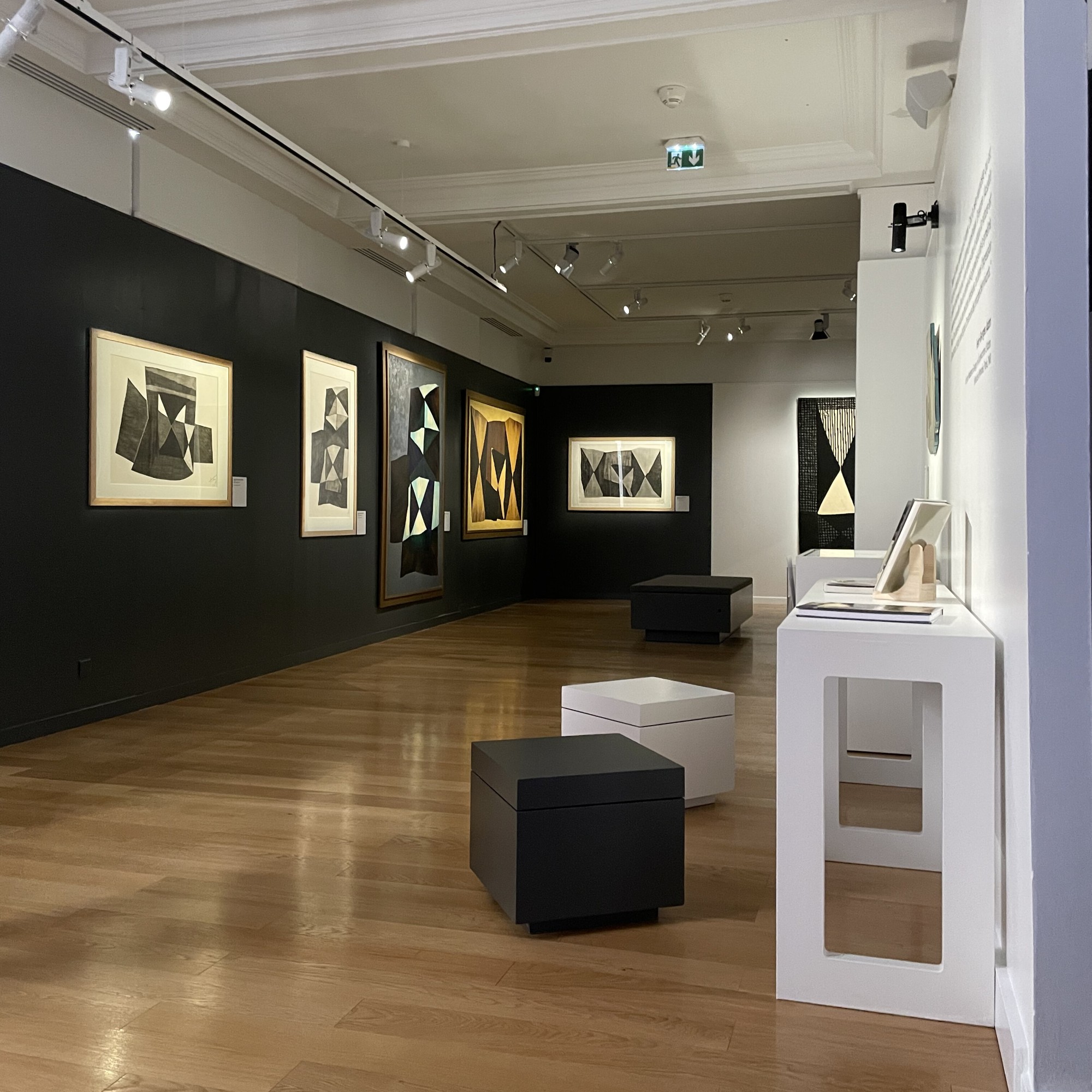 Vue de l’exposition “Henri-Georges Adam – Un Moderne Révélé” au Musée Paul-Dupuy, Toulouse.