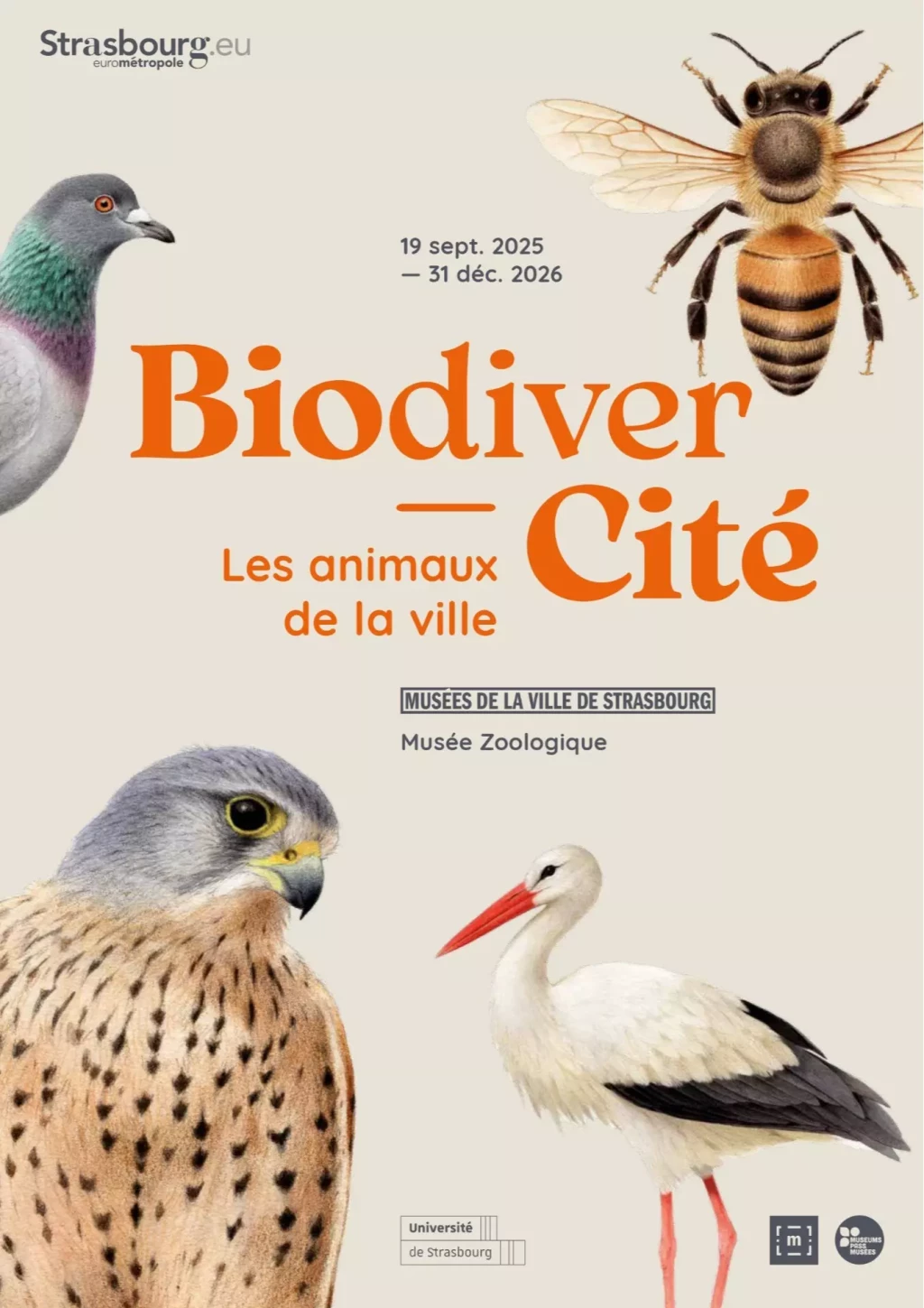 Biodivercité. Les animaux de la ville