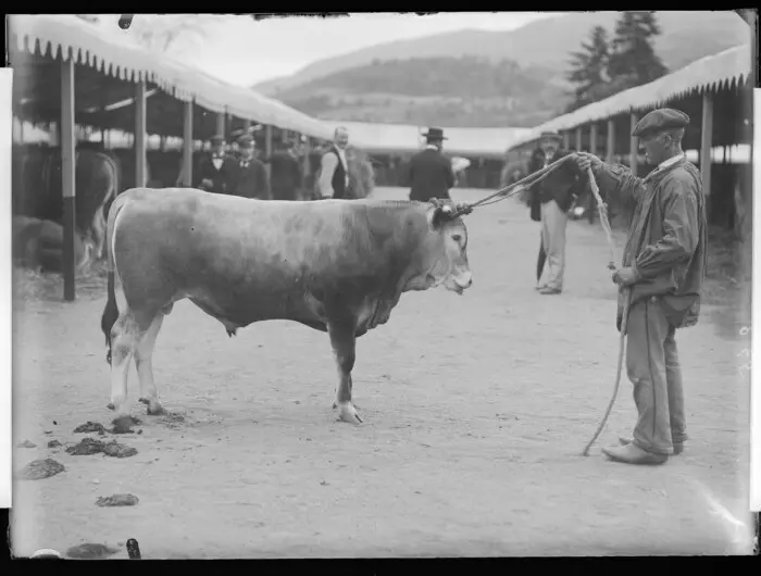 Compagnons de vie et de labeur - Regards photographiques sur la domestication au 20e siècle