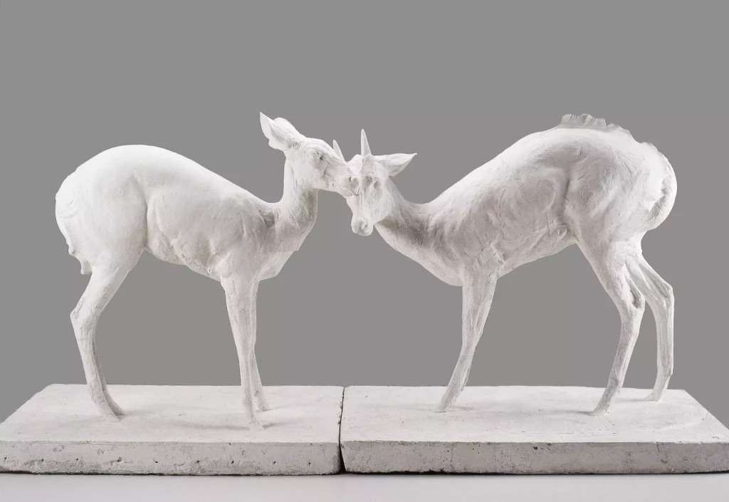 L'état sauvage. L'animal dans les collections du MAMCS et du Musée Zoologique 