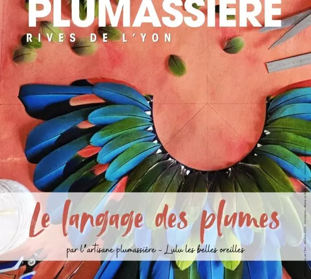 Lulu-les-belles-oreilles-WEB