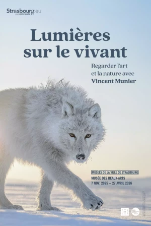 Lumières sur le vivant. Regarder l'art et la nature avec Vincent Munier 