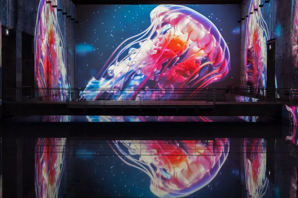 meduse_ocean_bassins