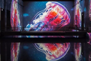 meduse_ocean_bassins