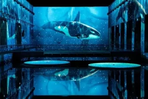 Océan, une plongée immersive