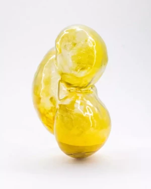 pollen_pin_grain_02-4_5-scaled-819x1024