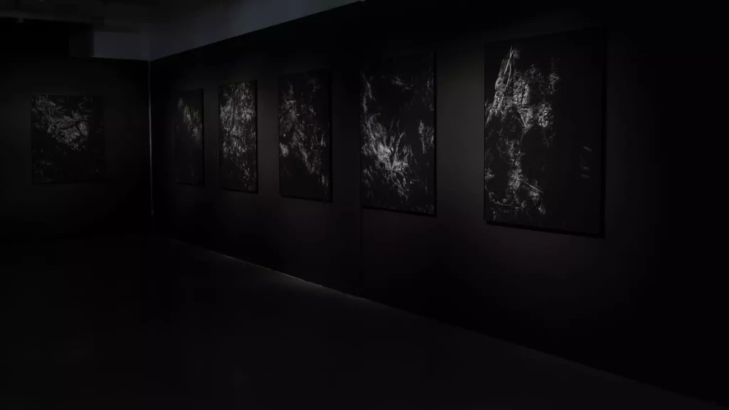 Stimultania, Strasbourg