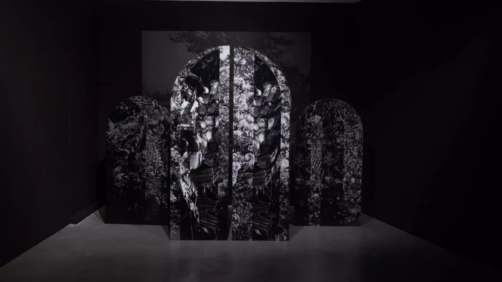 Stimultania, Strasbourg -