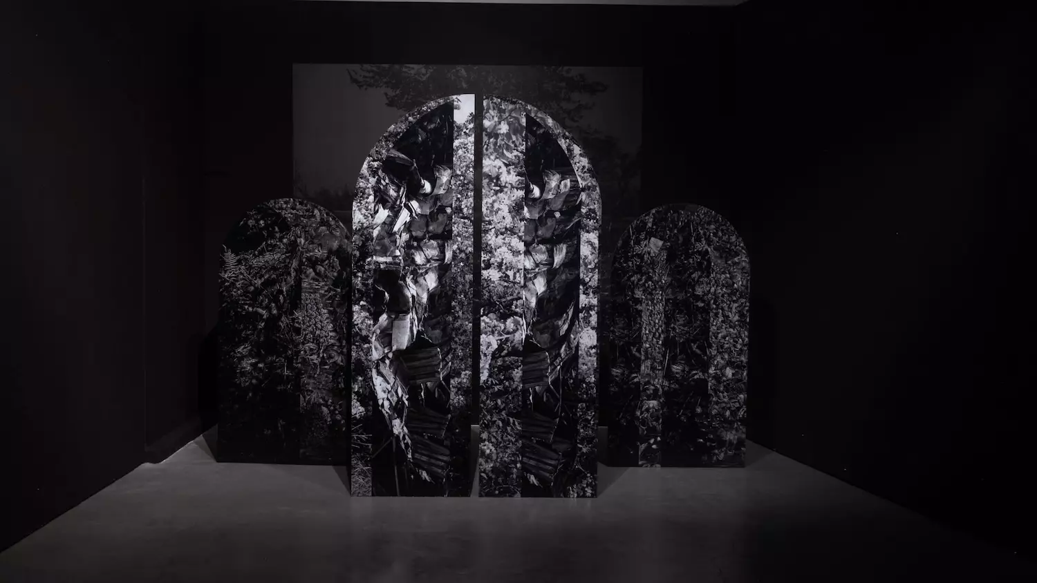 Stimultania, Strasbourg -