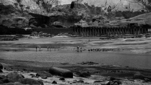 The Basilisk – Du 3 octobre 2025 au 10 janvier 2026 – Strasbourg