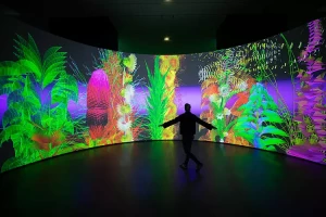 csm_extra-naturalia-credit-thomas-granovsky_d13ed92cde