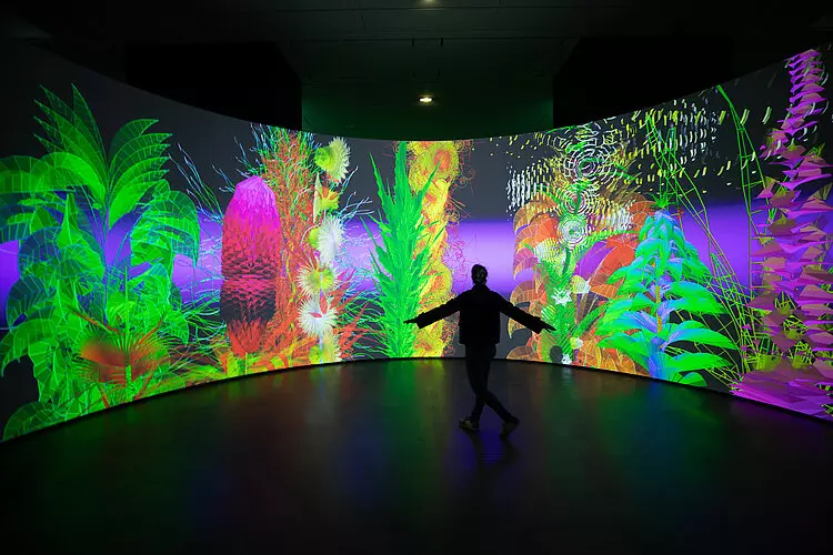 csm_extra-naturalia-credit-thomas-granovsky_d13ed92cde