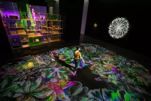 csm_flower-power-ia-credit-thomas-granovsky-_2__28dad96cbb