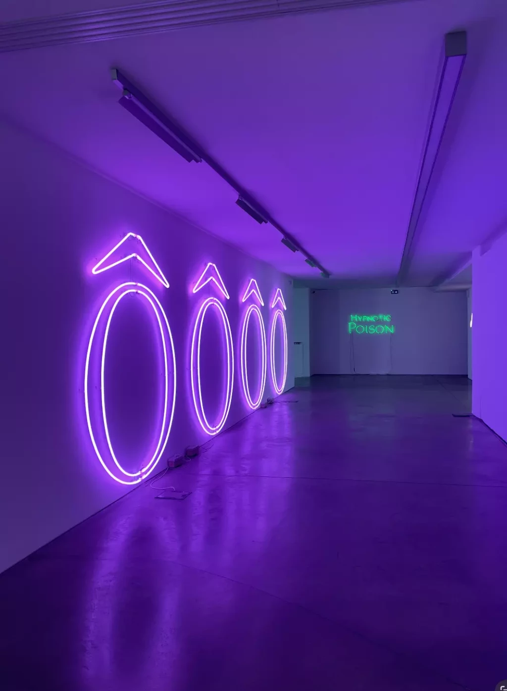 💄 Thunderb - Sylvie Fleury - Musée Régional d'Art Contemporain Occitanie - 13