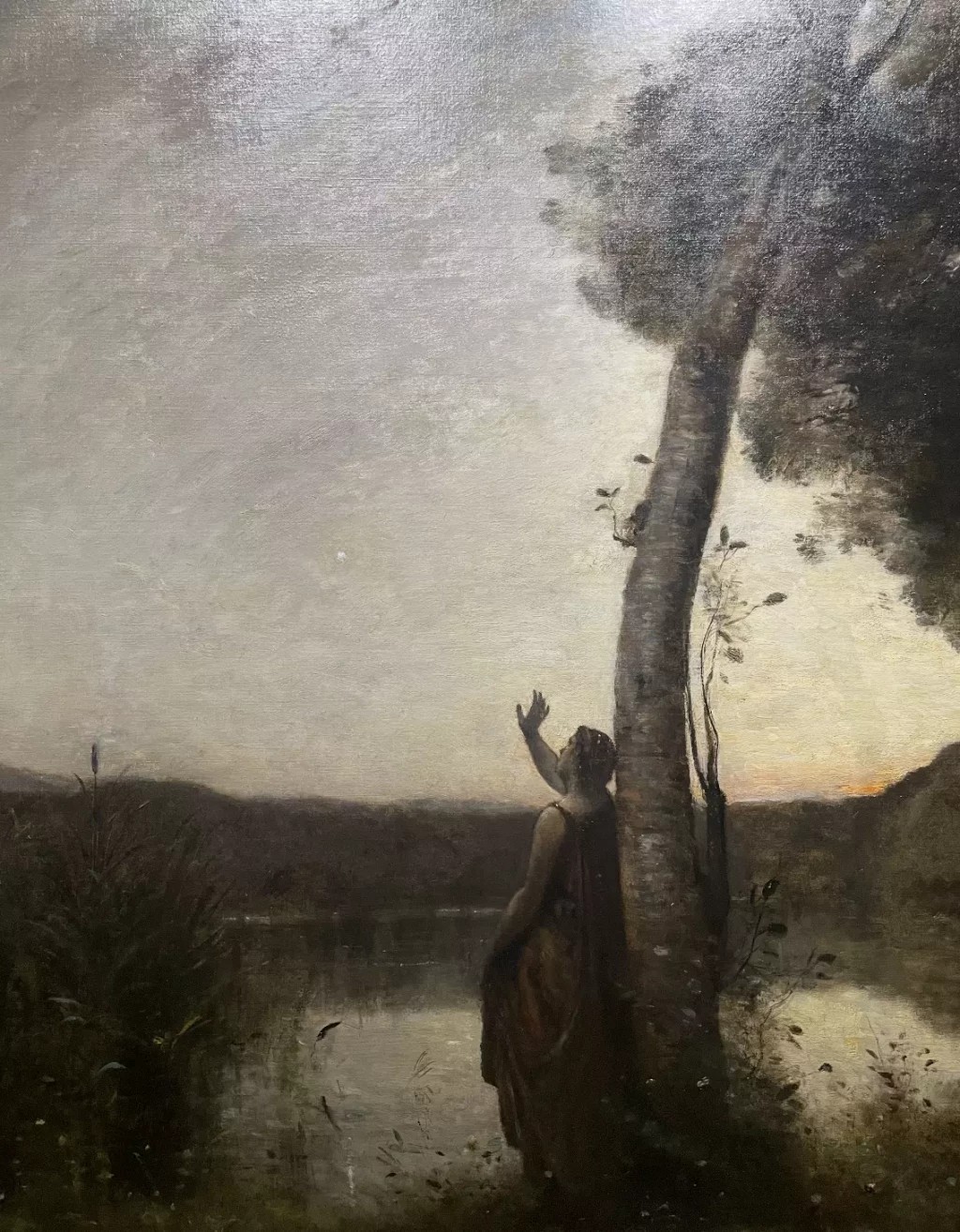 Musée des Augustin - Toulouse - 12