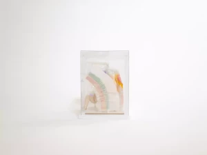 5-maquette-face-paysage