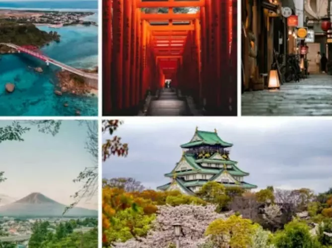 91c42e5526574932b6658d3065c1468d.full.image.jpg - copie