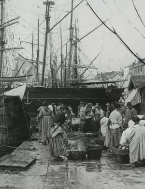 actu detaille poisson fernand_0