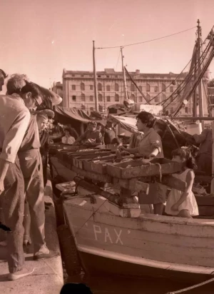 actu detaille vente poisson_0