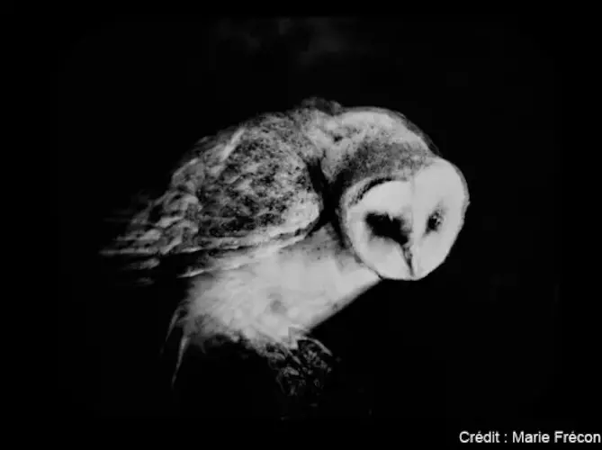 b8d2dd0a9d594d16a593713c4a7679b9.full.image.jpg - copie