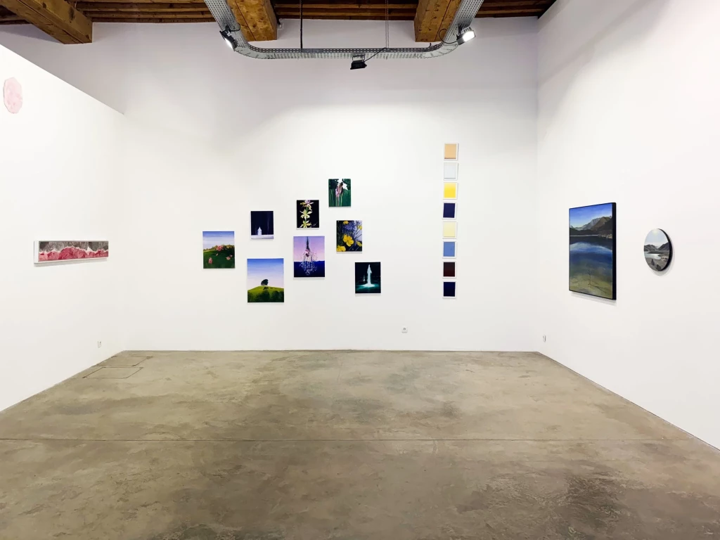 Galerie+Françoise+Besson+zenith+©theodorusega-4