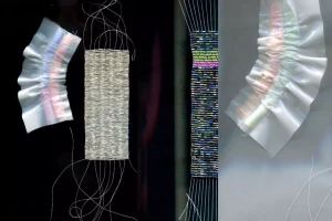 neurone-miroir-1-860x573