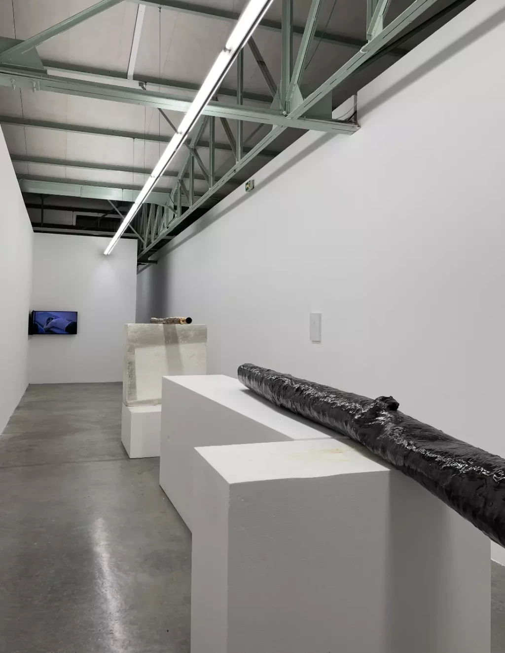 Yvonne Rainer - A Reader - 11