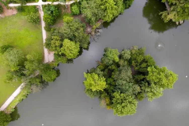 04968934503c4acca398854f85f2c138.base.image