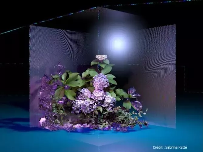 134b5f5aaa154a4e80267ddc72132b31.full.image