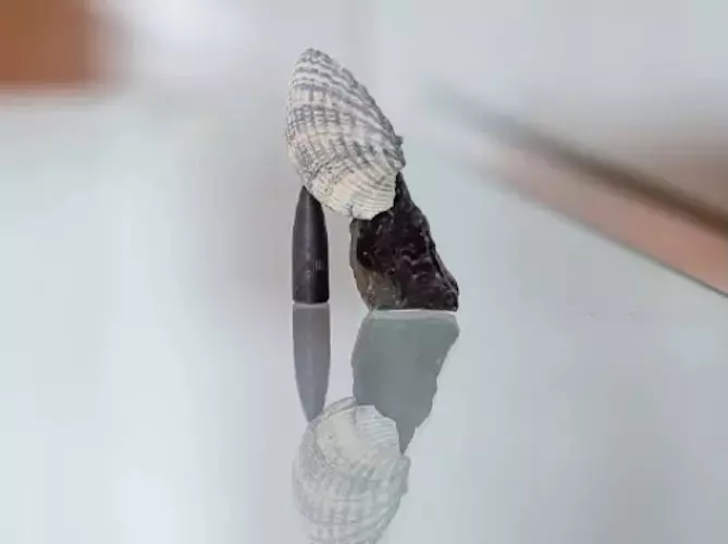 1e6549f08b2f4a8ba3fffe38c1cbc3e6.full.image