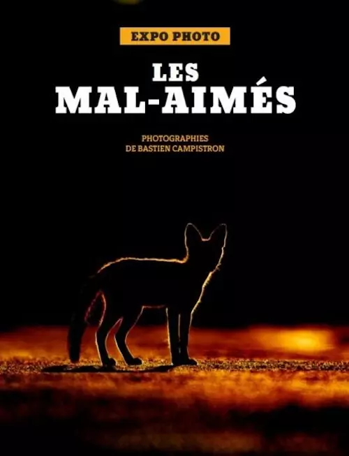 4150614ecdc1474fb43c03220f7e5ecb.base.image