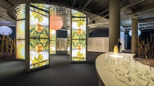 5120x2880-via-sensoria-parcours-sensoriel-degustation-cite-du-vin-bordeaux-2025