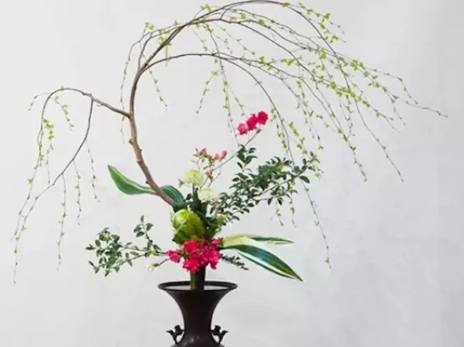 5958a2f4e82b4f9789b0529ef21cc2ff.full.image