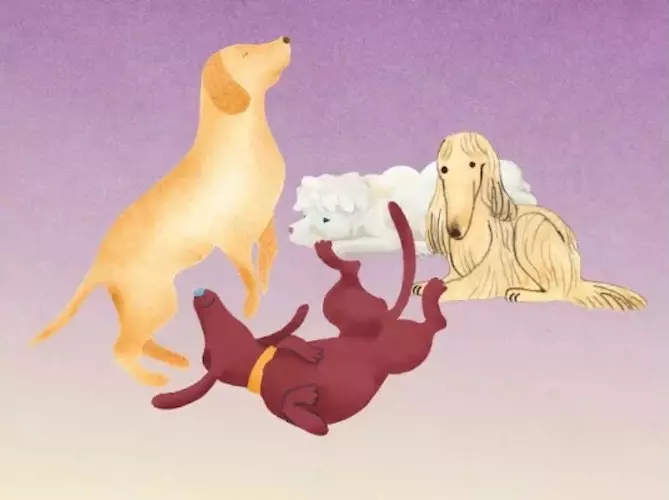 78c883fc431b42f48587f9d8288367ec.full.image