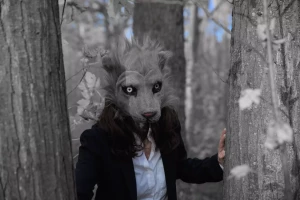 8cddc89e-459d-403a-a41c-d15fa6e956c6