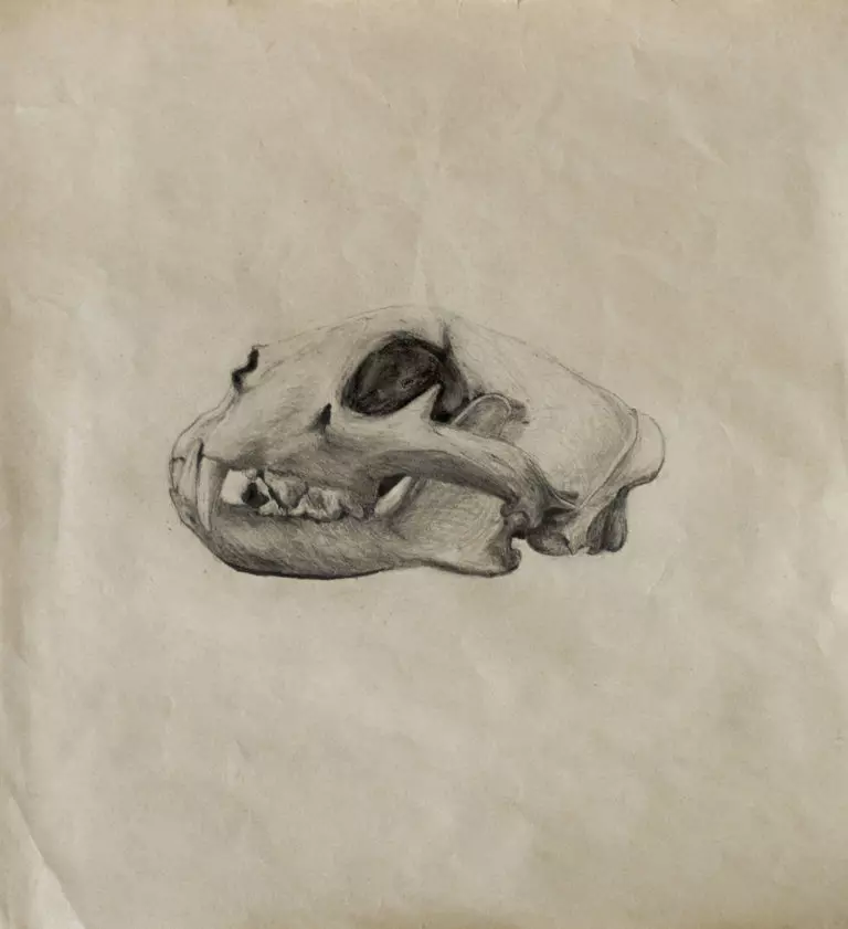 Benjamin-Halimi-768x841