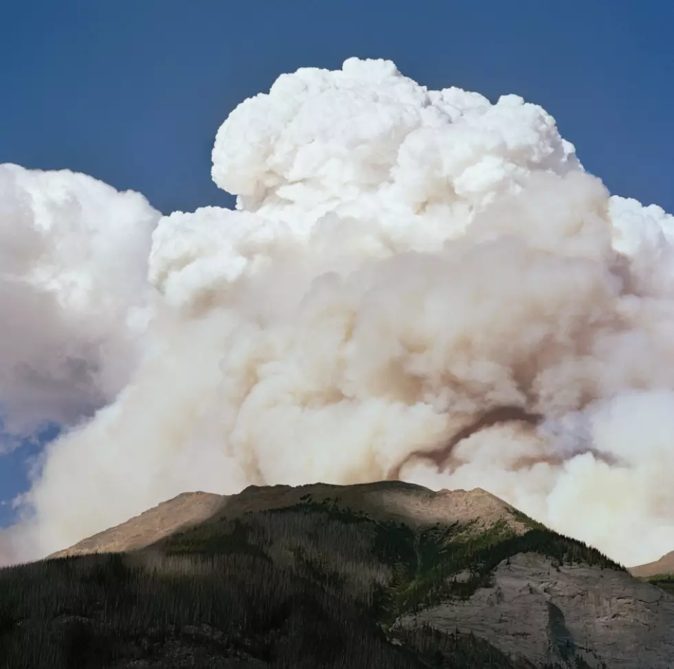 Capture d’écran 2026-02-20 à 14.49.27