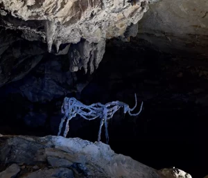 Capture d’écran 2026-02-23 à 23.55.25