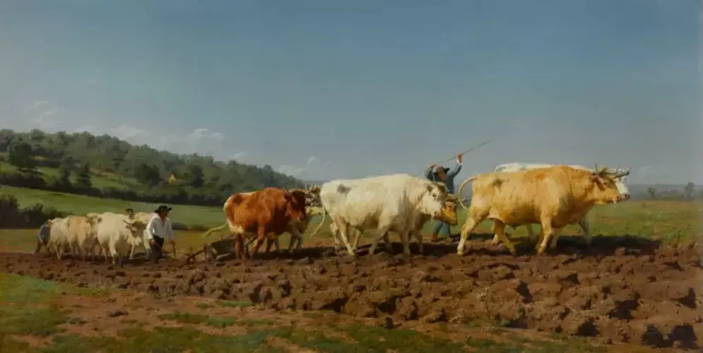 Capture-decran-2026-02-12-112506-768x386.jpg - copie