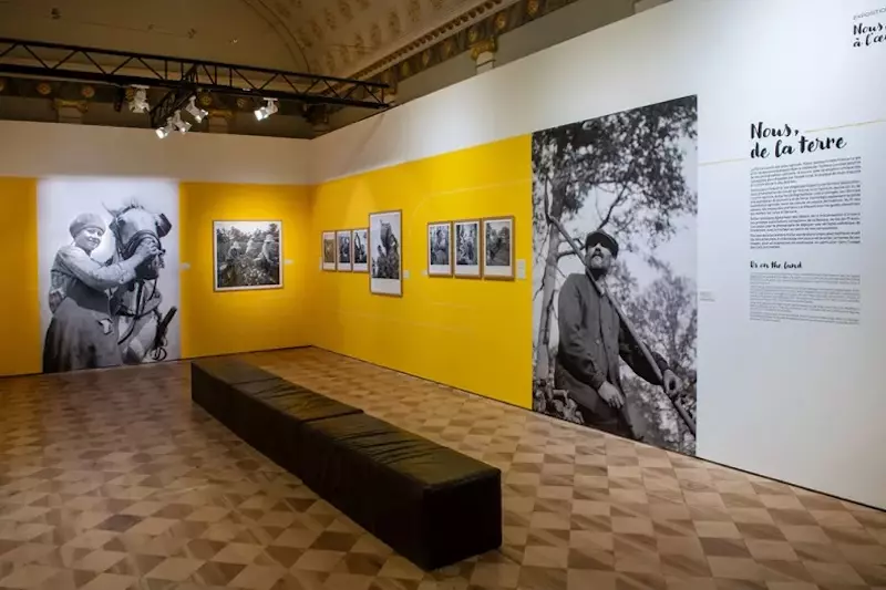 _dsc1299.jpg - copie