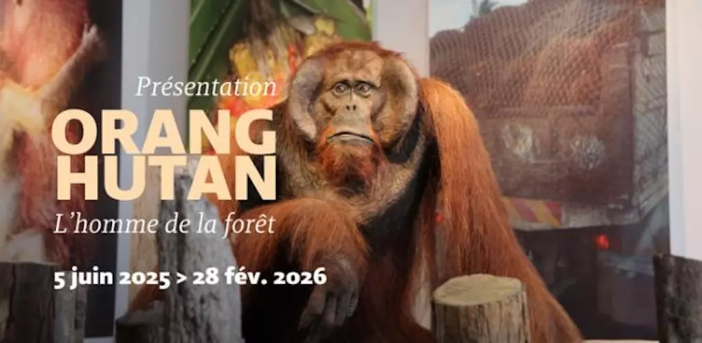 e1b99c5d0b52455a8561a6ff6ea0b5ba.base.image